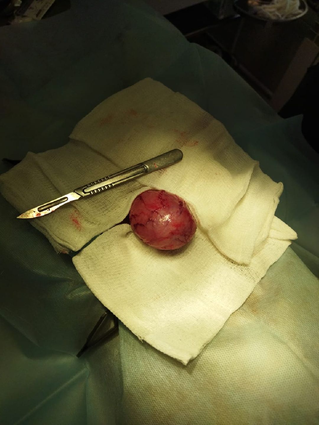 Раменское, общество