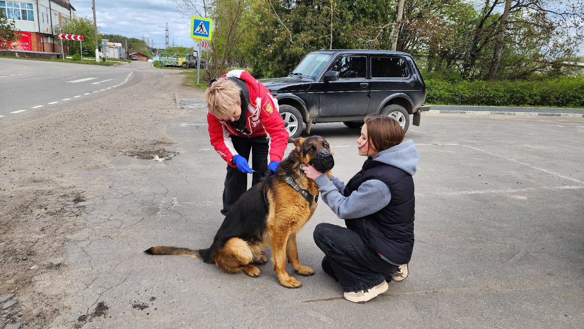 солнечногорск, Смирновка, животные, бешенство, вакцинация от бешенства,