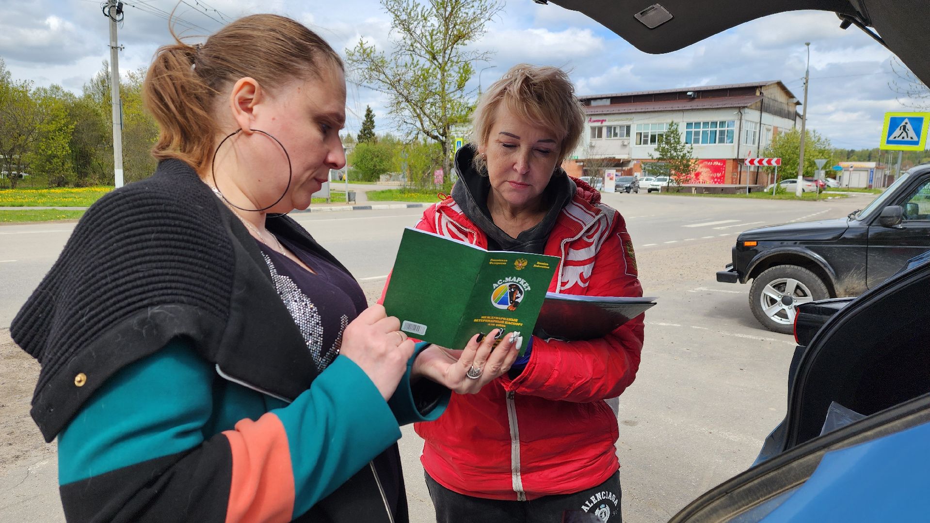 солнечногорск, Смирновка, животные, бешенство, вакцинация от бешенства,