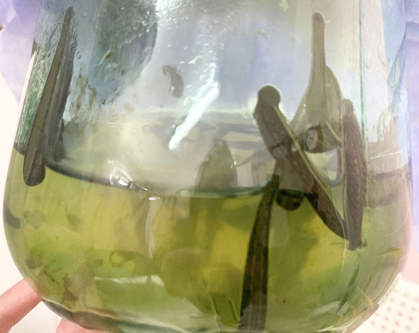 Балашиха, Подмосковье, Медицина, День движения для здоровья, уролог, урология, мужское здоровье,