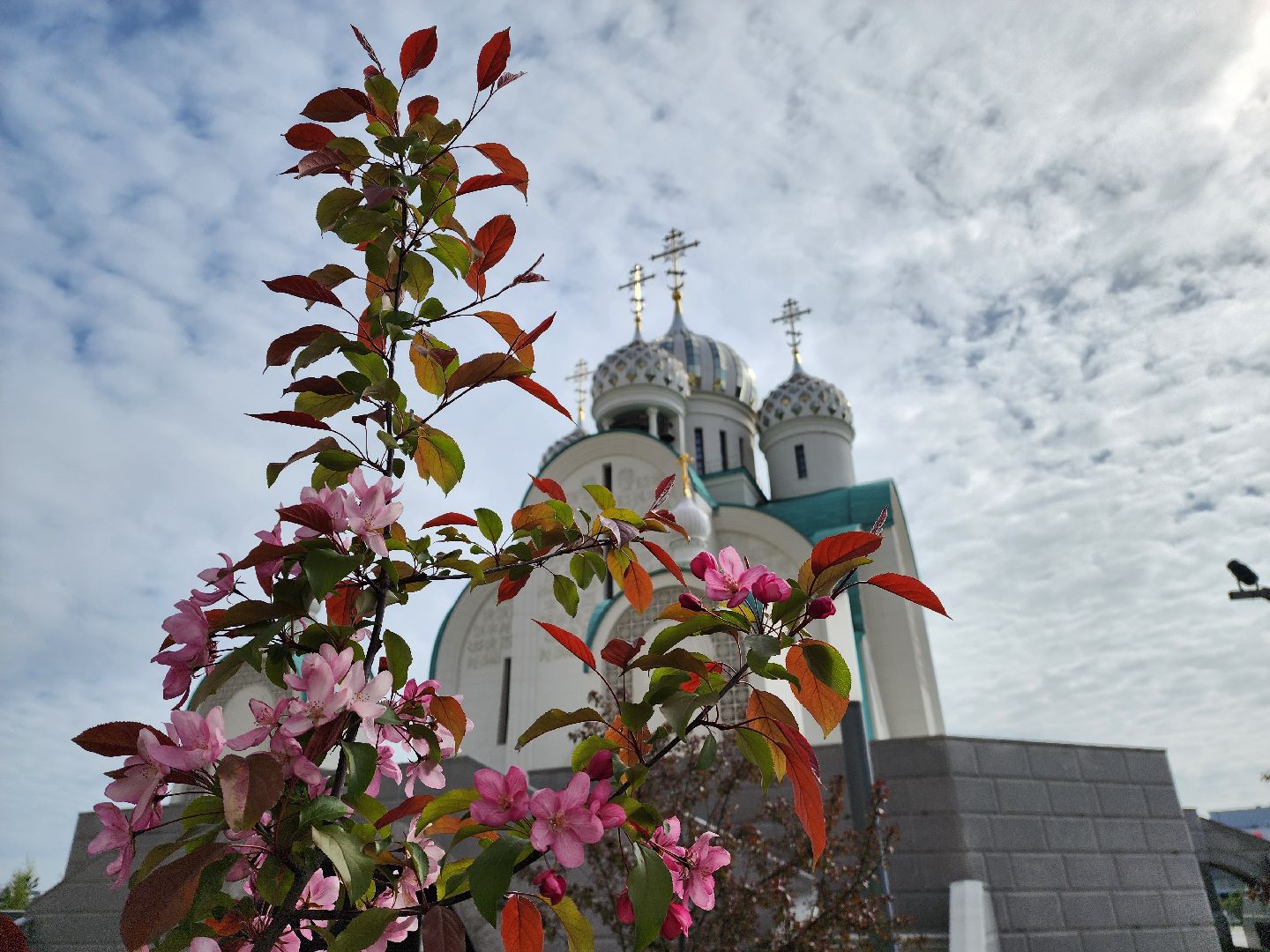 красногорск, венок памяти, сво, теракт в крокус сити холле,марафон,