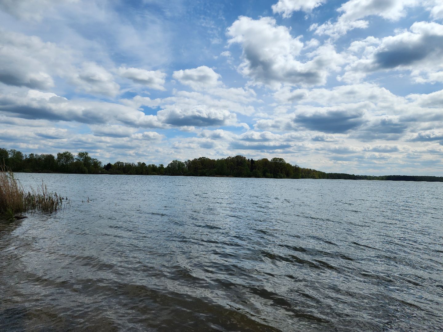пикниковые зоны, зоны отдыха, Добродел, Бисерово, Богородский городской округ,