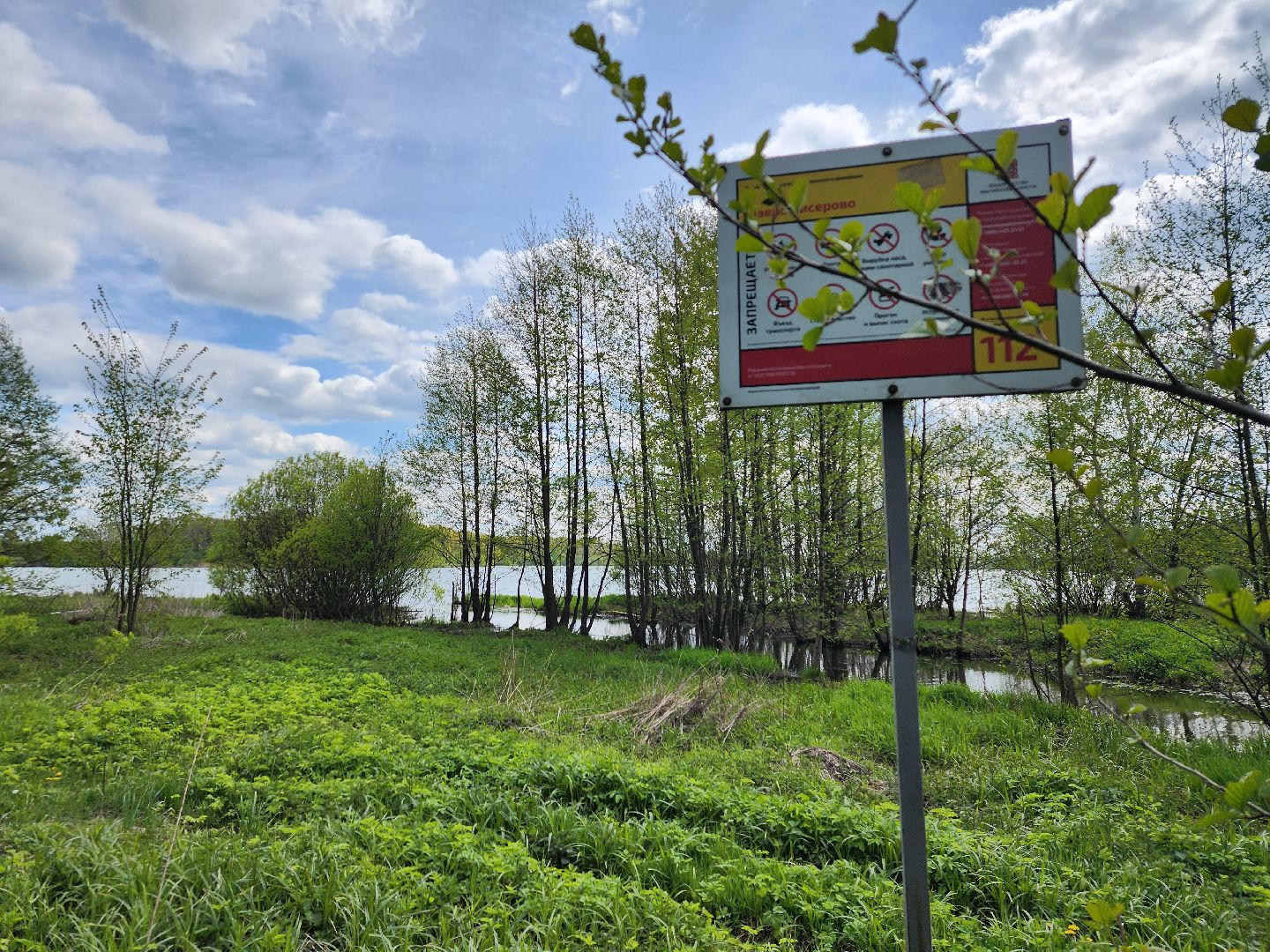 пикниковые зоны, зоны отдыха, Добродел, Бисерово, Богородский городской округ,