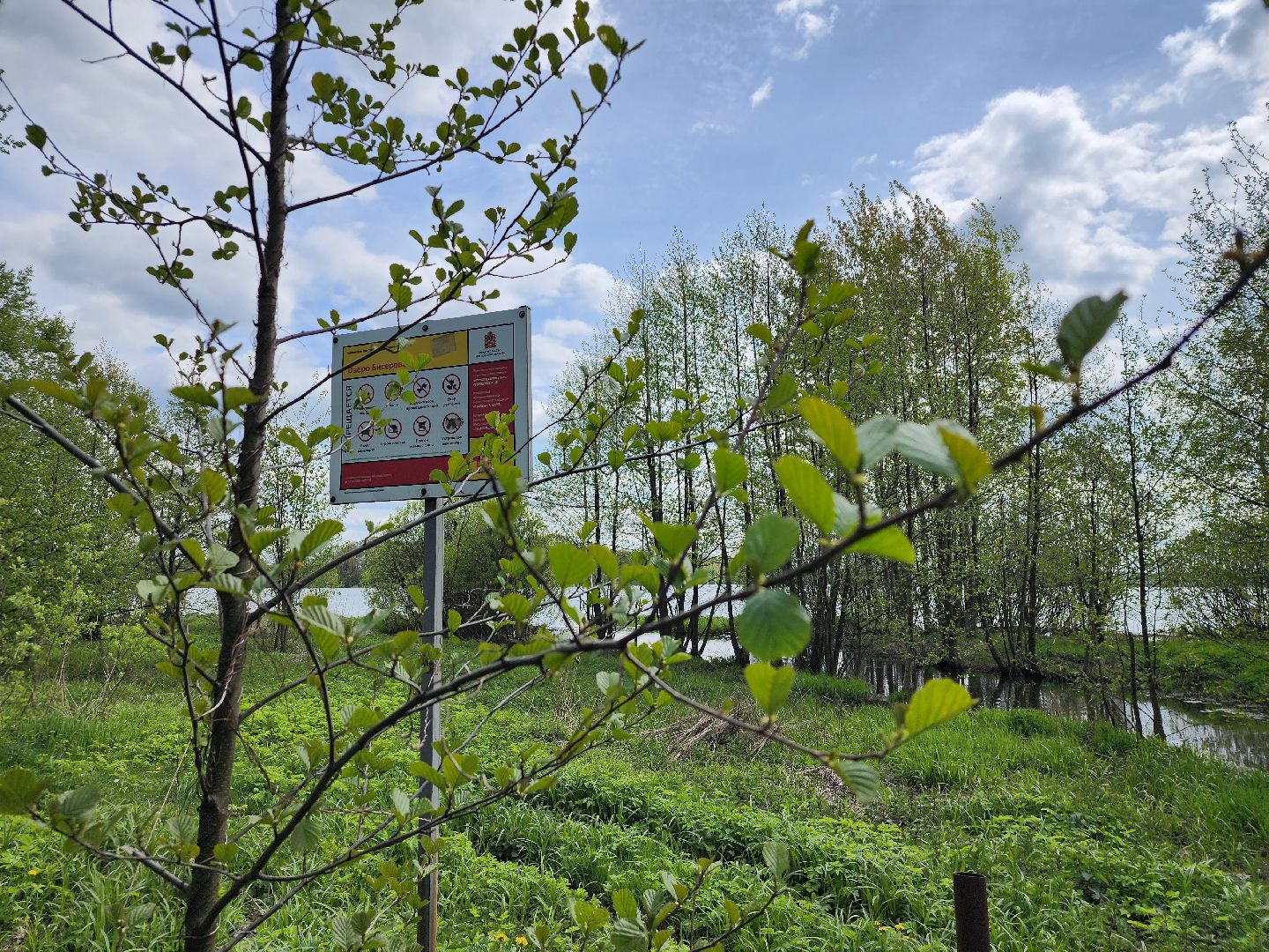 пикниковые зоны, зоны отдыха, Добродел, Бисерово, Богородский городской округ,