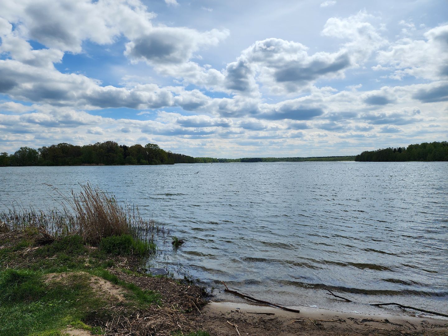 пикниковые зоны, зоны отдыха, Добродел, Бисерово, Богородский городской округ,