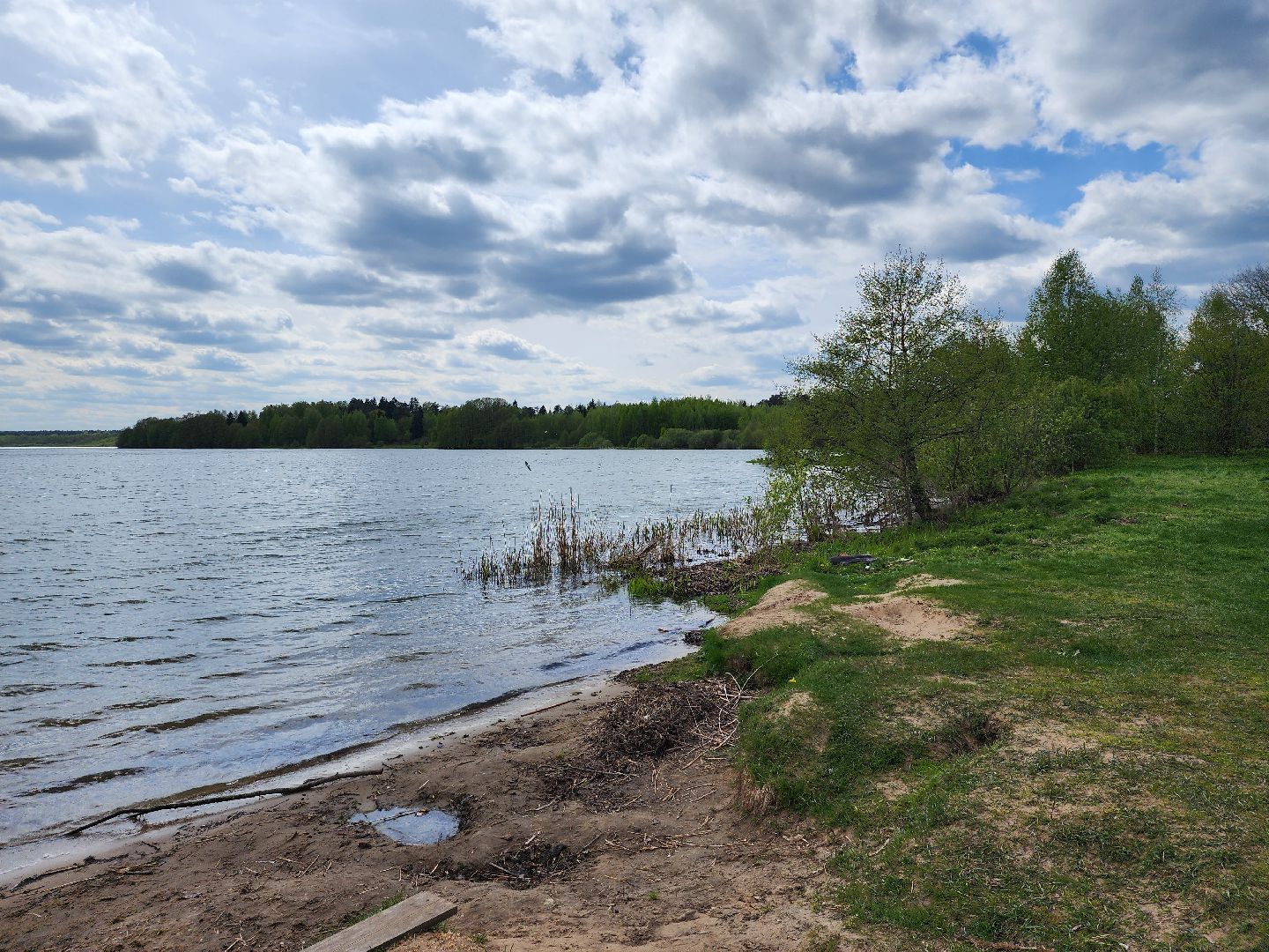 пикниковые зоны, зоны отдыха, Добродел, Бисерово, Богородский городской округ,