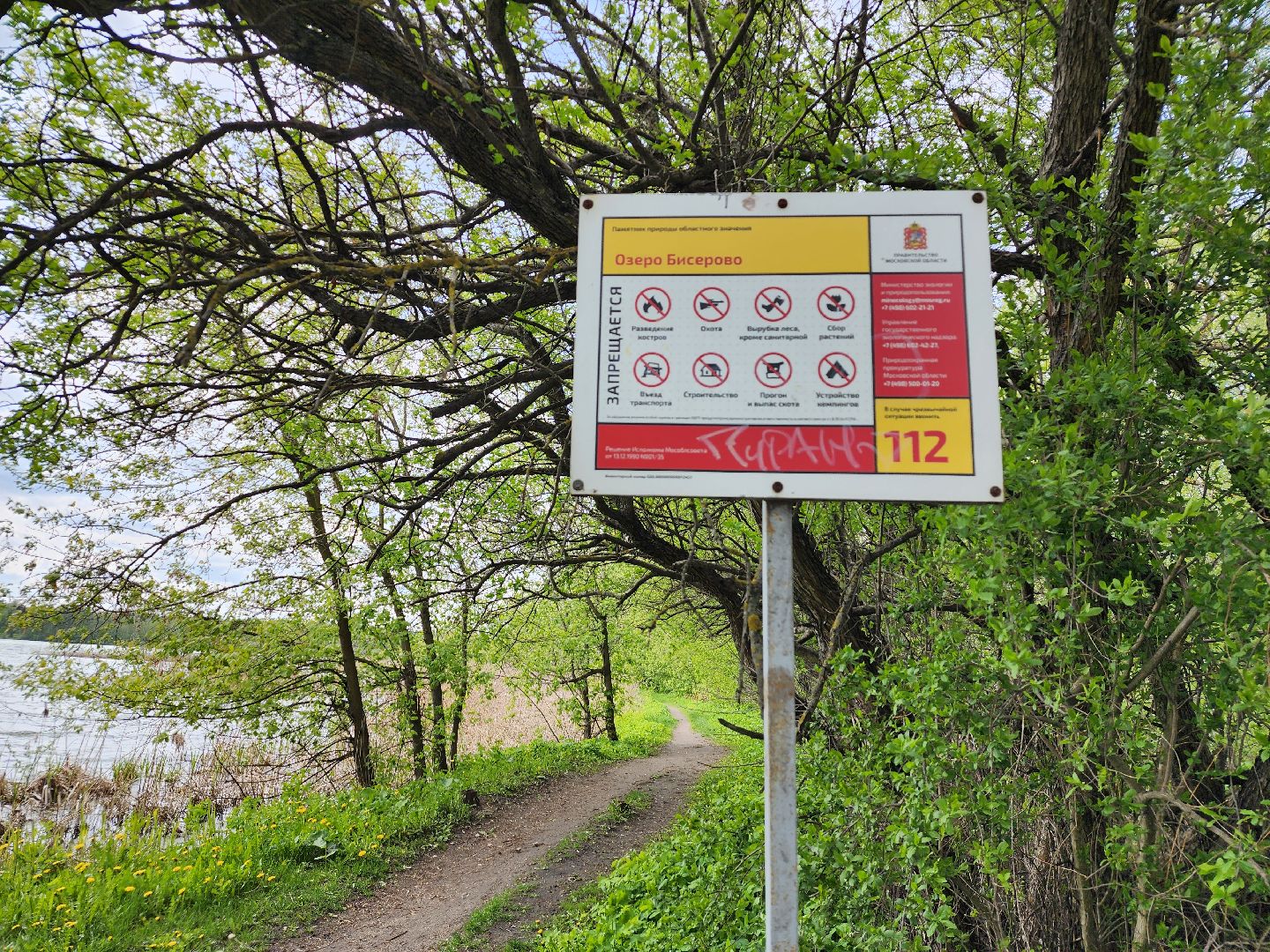 пикниковые зоны, зоны отдыха, Добродел, Бисерово, Богородский городской округ,