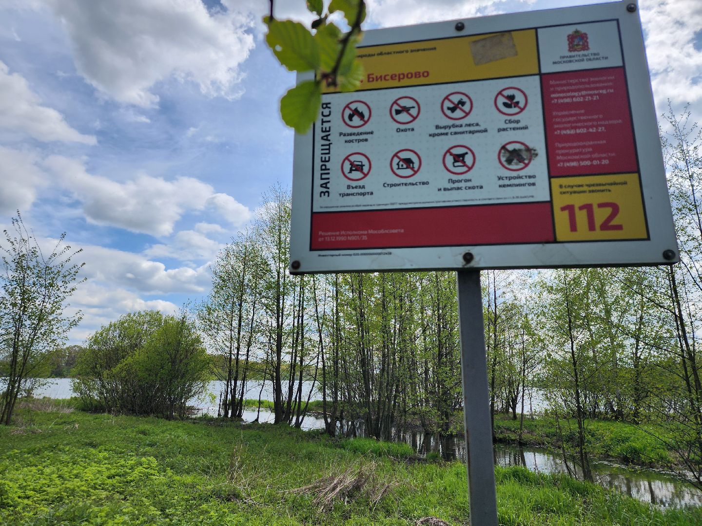 пикниковые зоны, зоны отдыха, Добродел, Бисерово, Богородский городской округ,