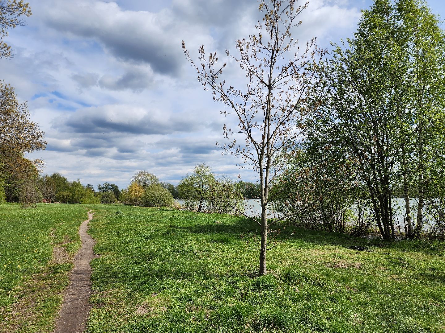 пикниковые зоны, зоны отдыха, Добродел, Бисерово, Богородский городской округ,