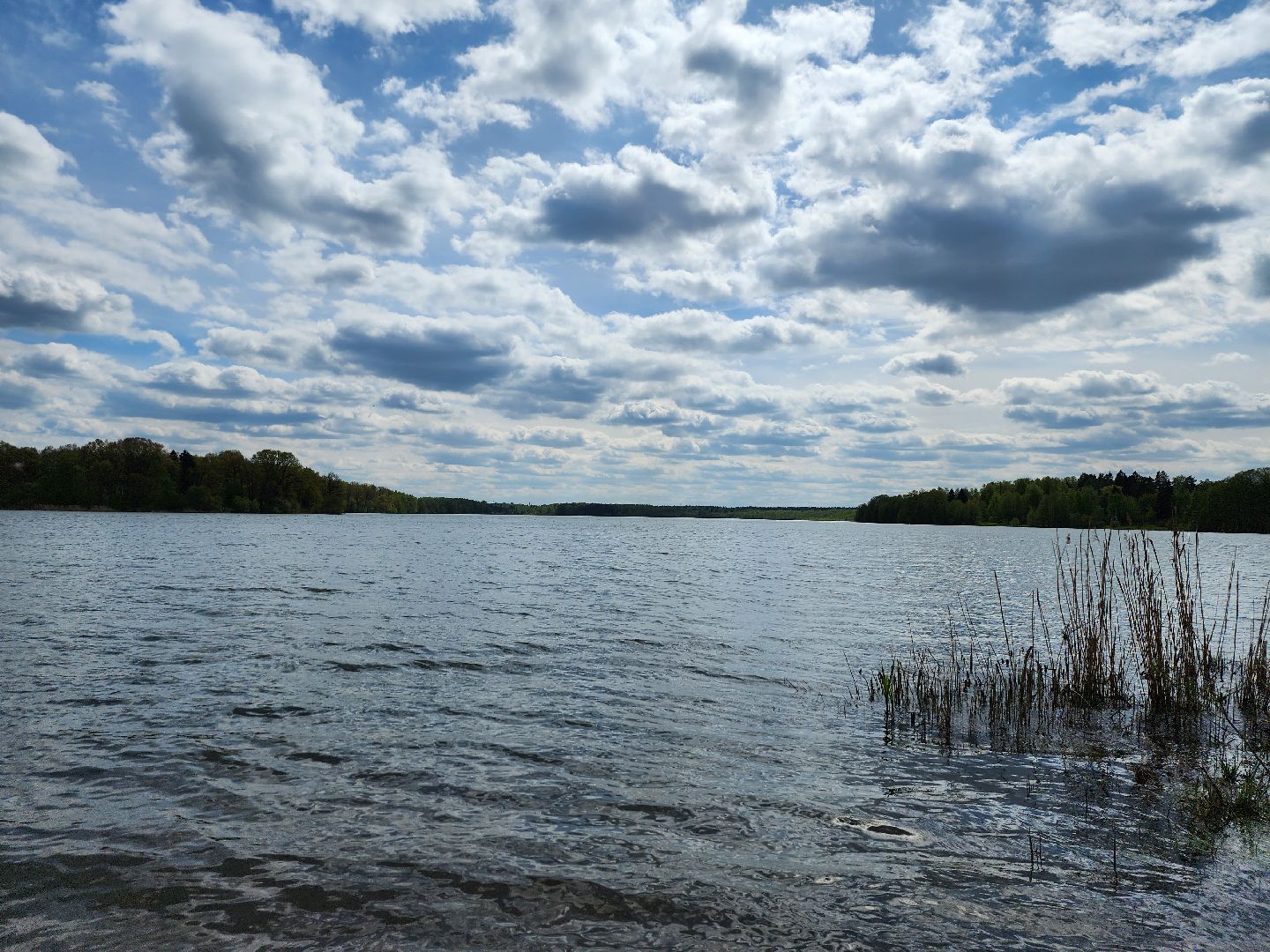пикниковые зоны, зоны отдыха, Добродел, Бисерово, Богородский городской округ,