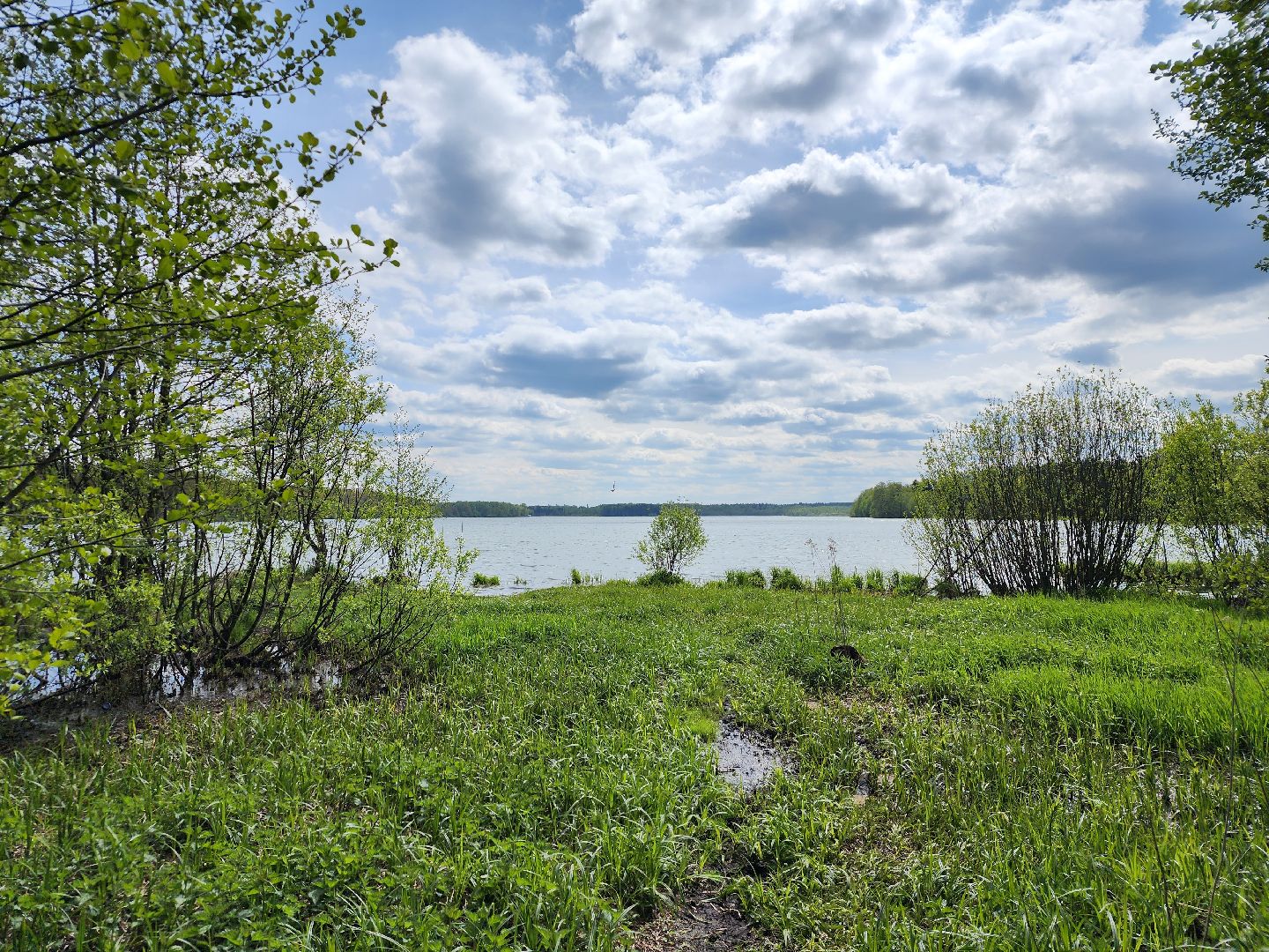 пикниковые зоны, зоны отдыха, Добродел, Бисерово, Богородский городской округ,