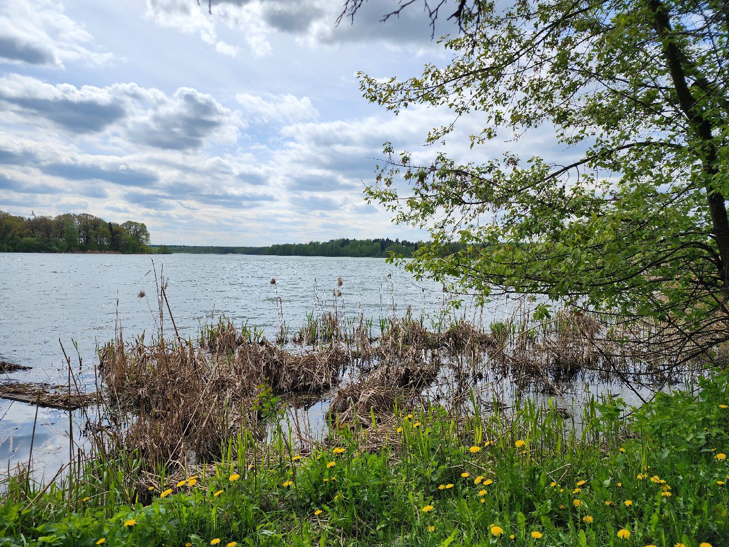пикниковые зоны, зоны отдыха, Добродел, Бисерово, Богородский городской округ,