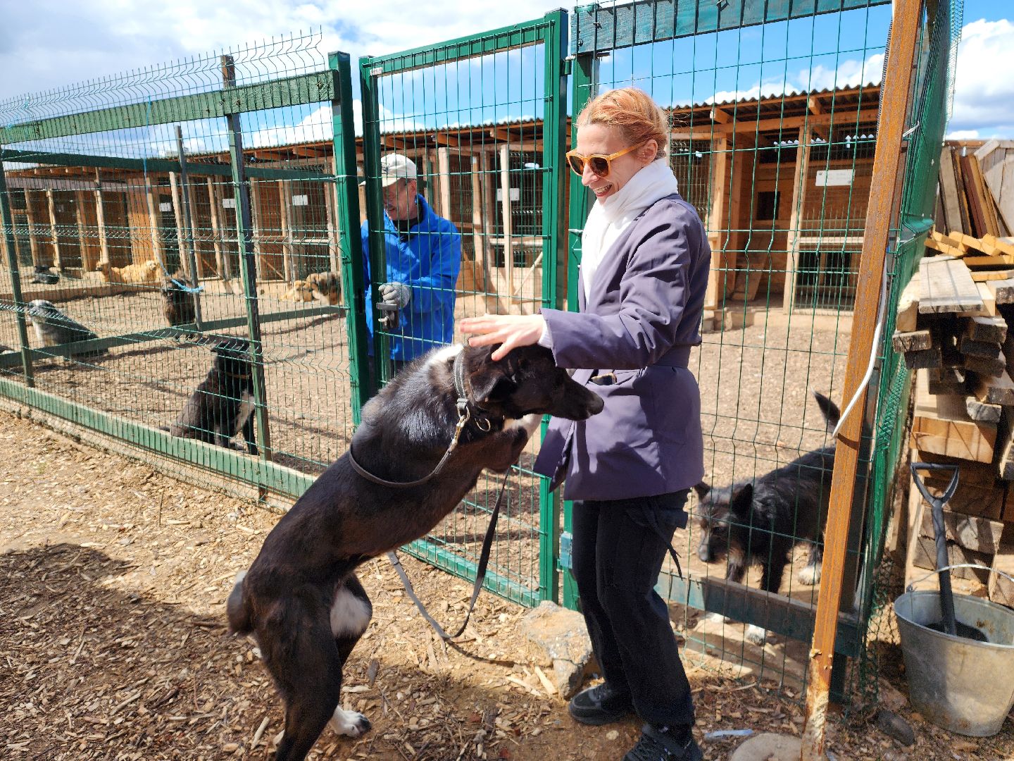 красногорск, приют для животных, лохматый ангел,