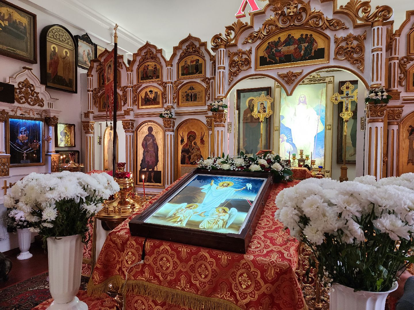 пушкино,