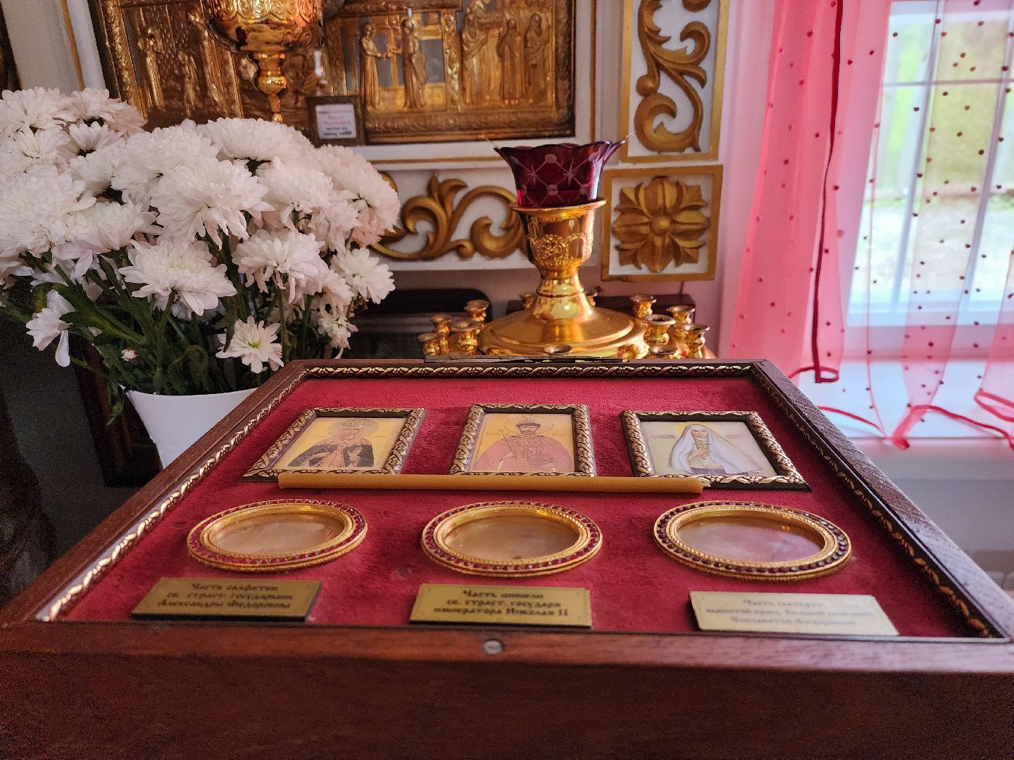 пушкино,
