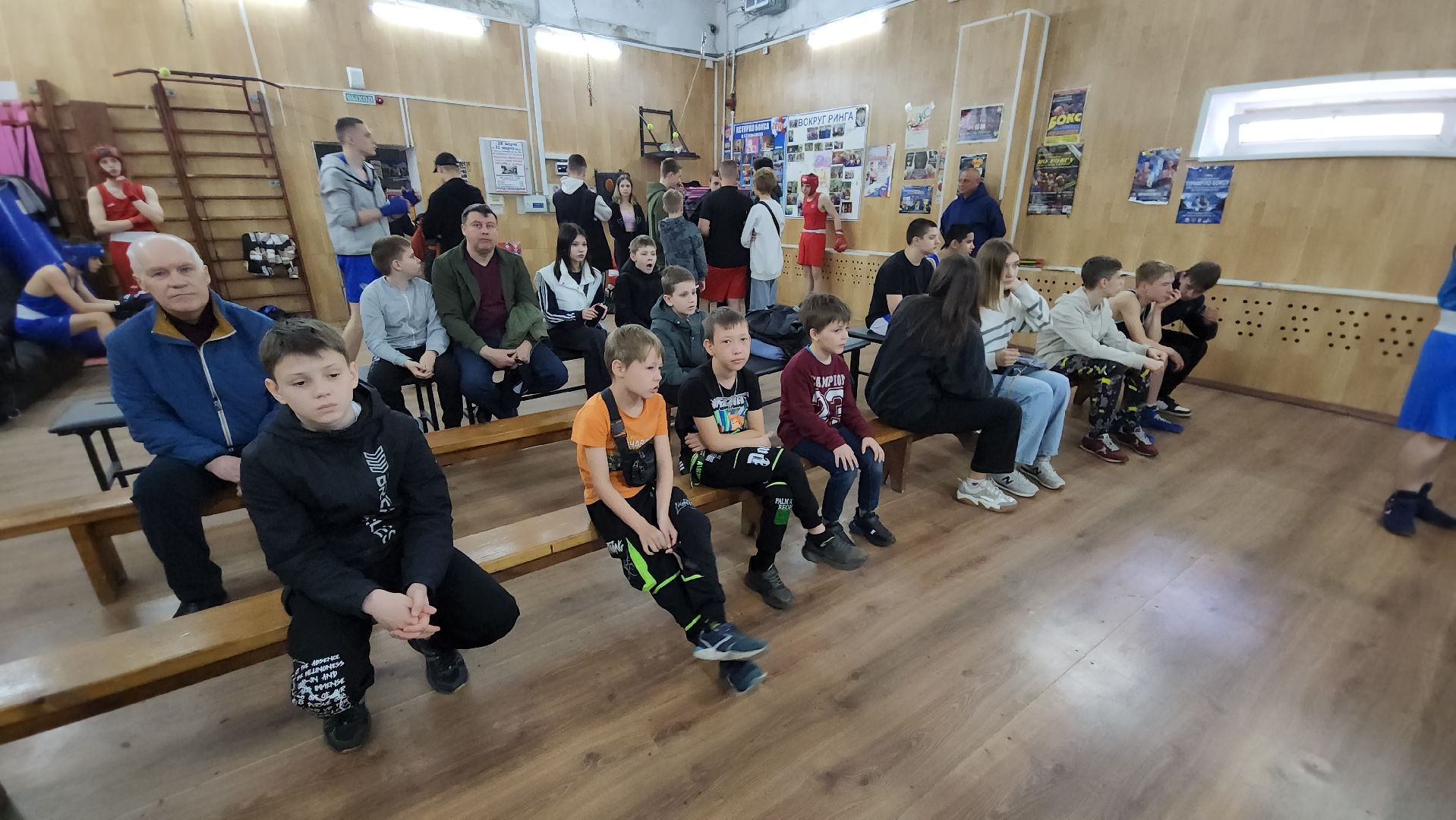 егорьевск, бокс, виктория, спорт, соревнования,