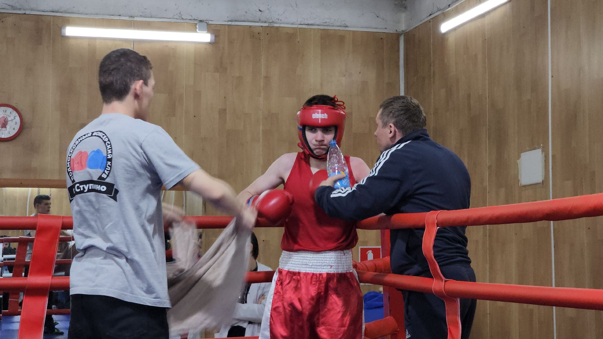 егорьевск, бокс, виктория, спорт, соревнования,