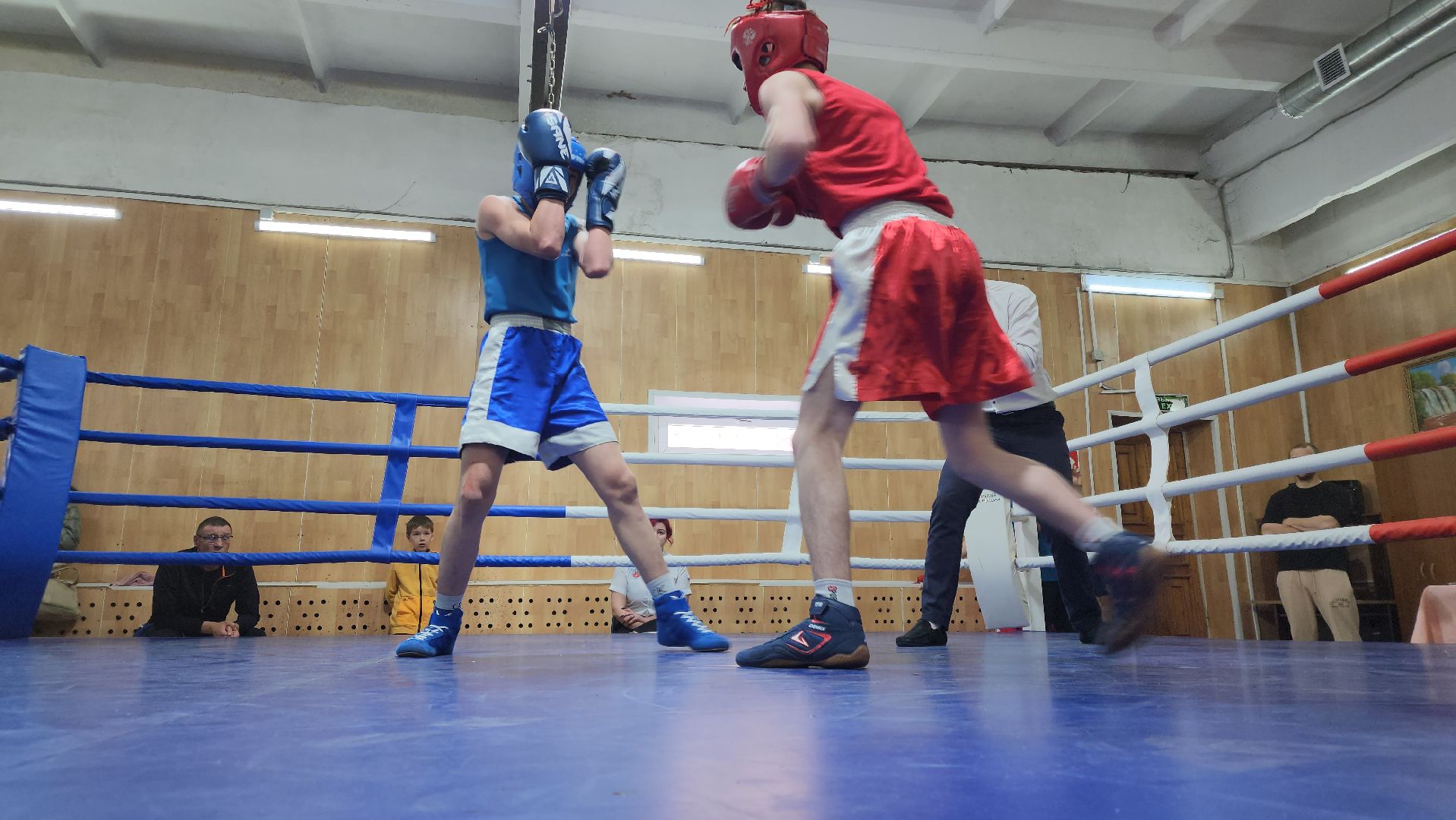 егорьевск, бокс, виктория, спорт, соревнования,