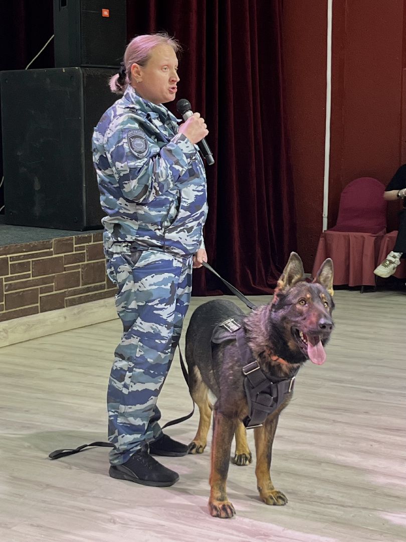 наро-фоминск,наро-фоминский городской округ, благотворительая акция, приют для животных, бездомные животные,