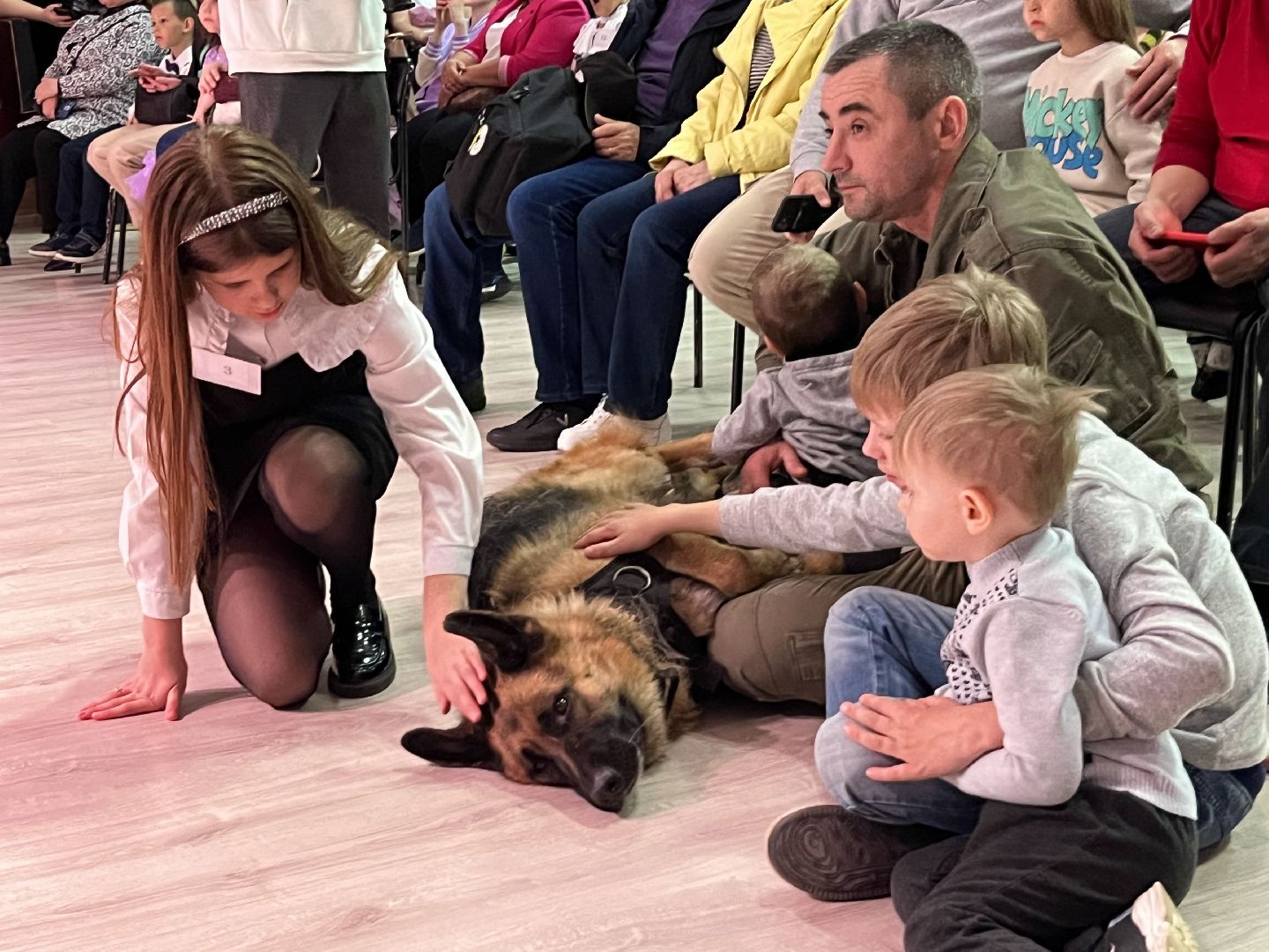 наро-фоминск,наро-фоминский городской округ, благотворительая акция, приют для животных, бездомные животные,