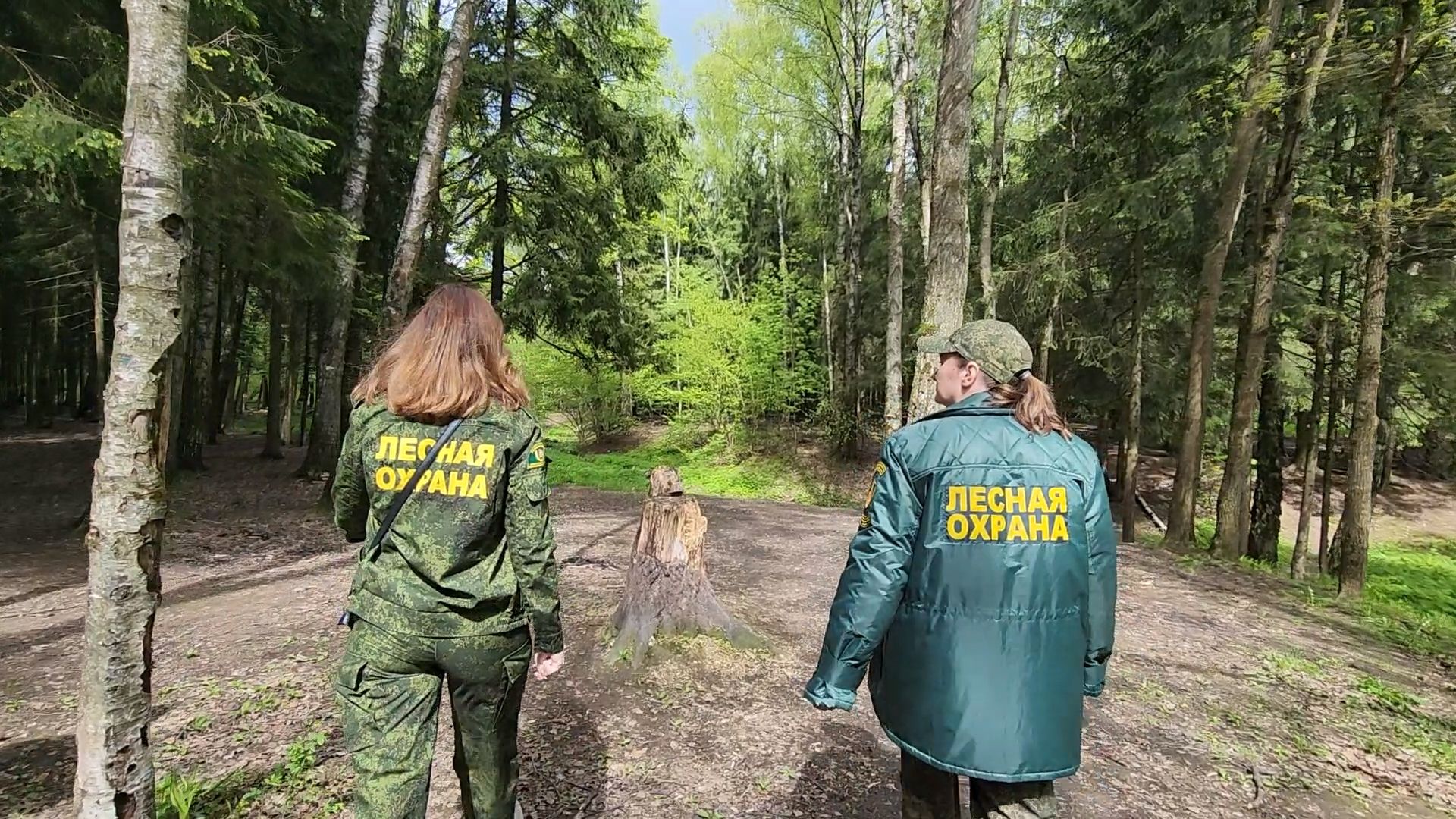 одинцово, лесничество, противопожарный режим, парк, пожарная безопасность,