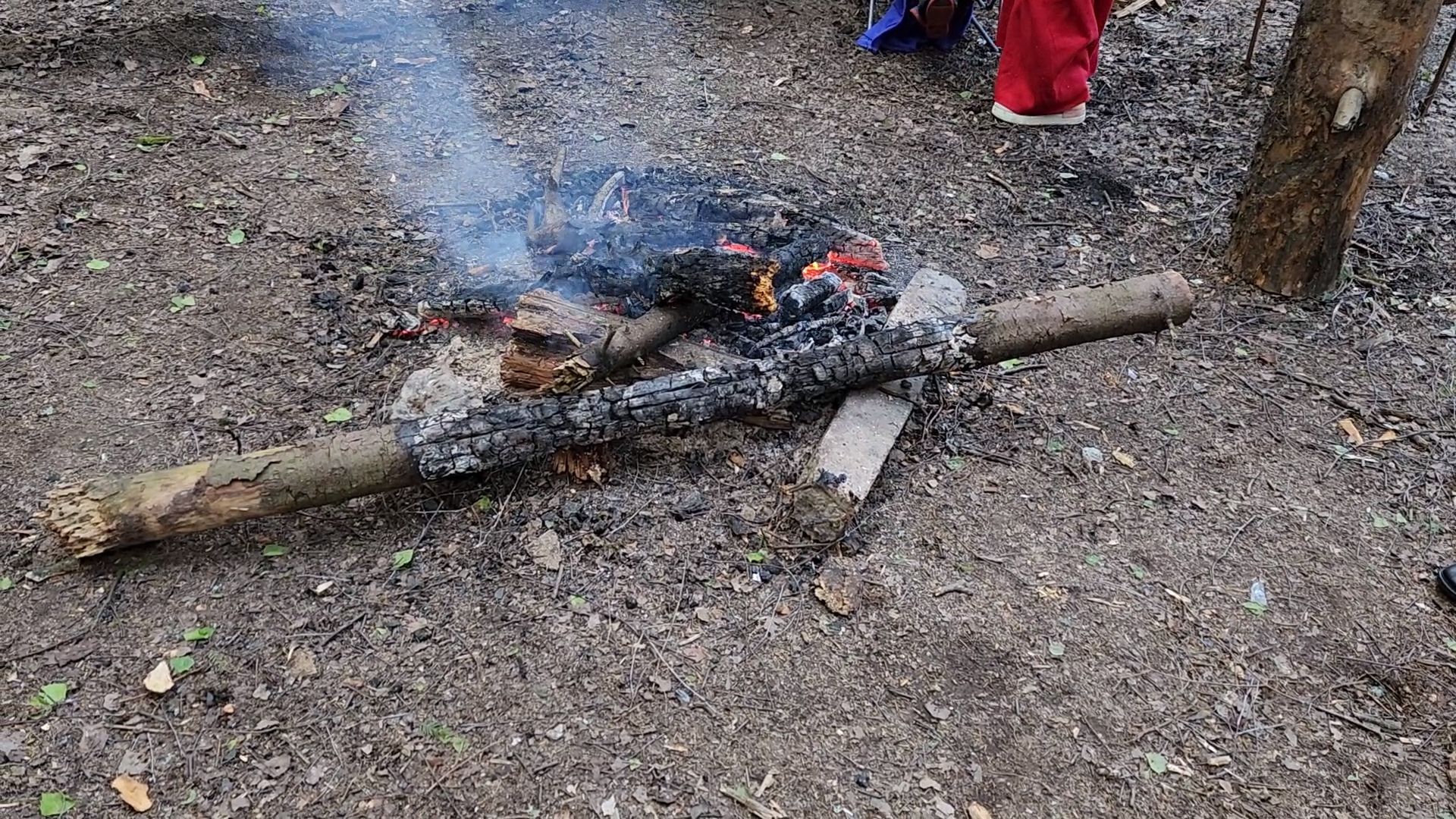 одинцово, лесничество, противопожарный режим, парк, пожарная безопасность,