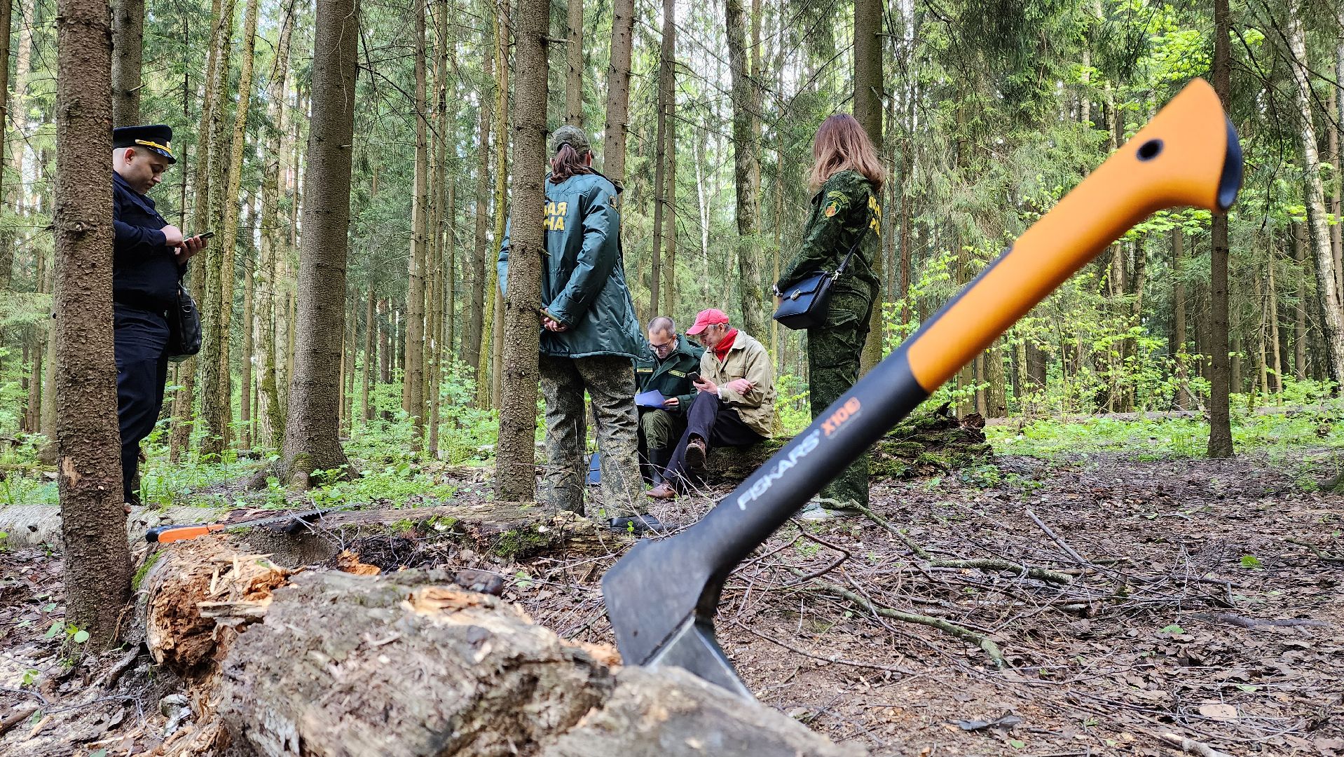 одинцово, лесничество, противопожарный режим, парк, пожарная безопасность,