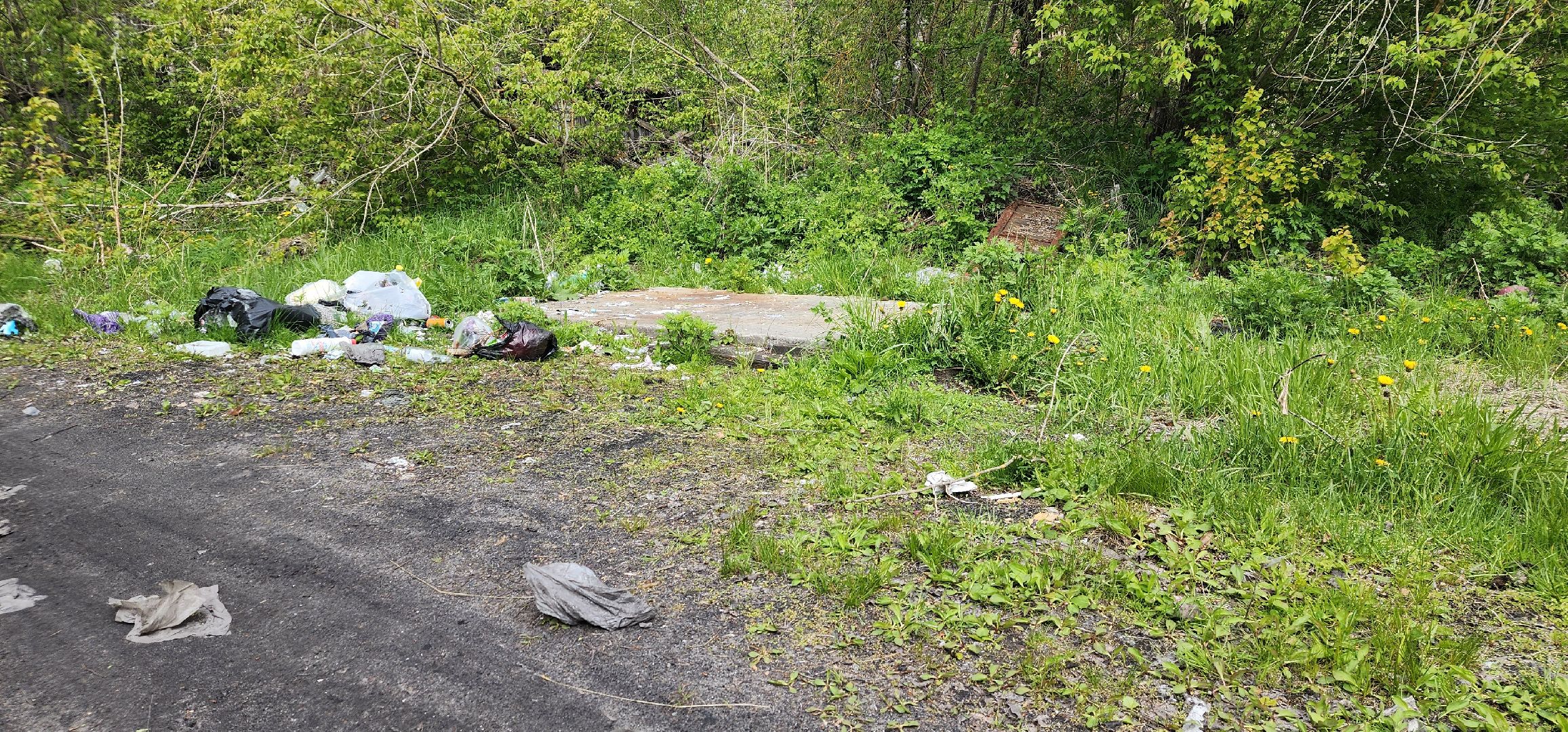 контейнерная площадка, благоустройство, Пустоши, Большая Шатура, черустинский сектор,