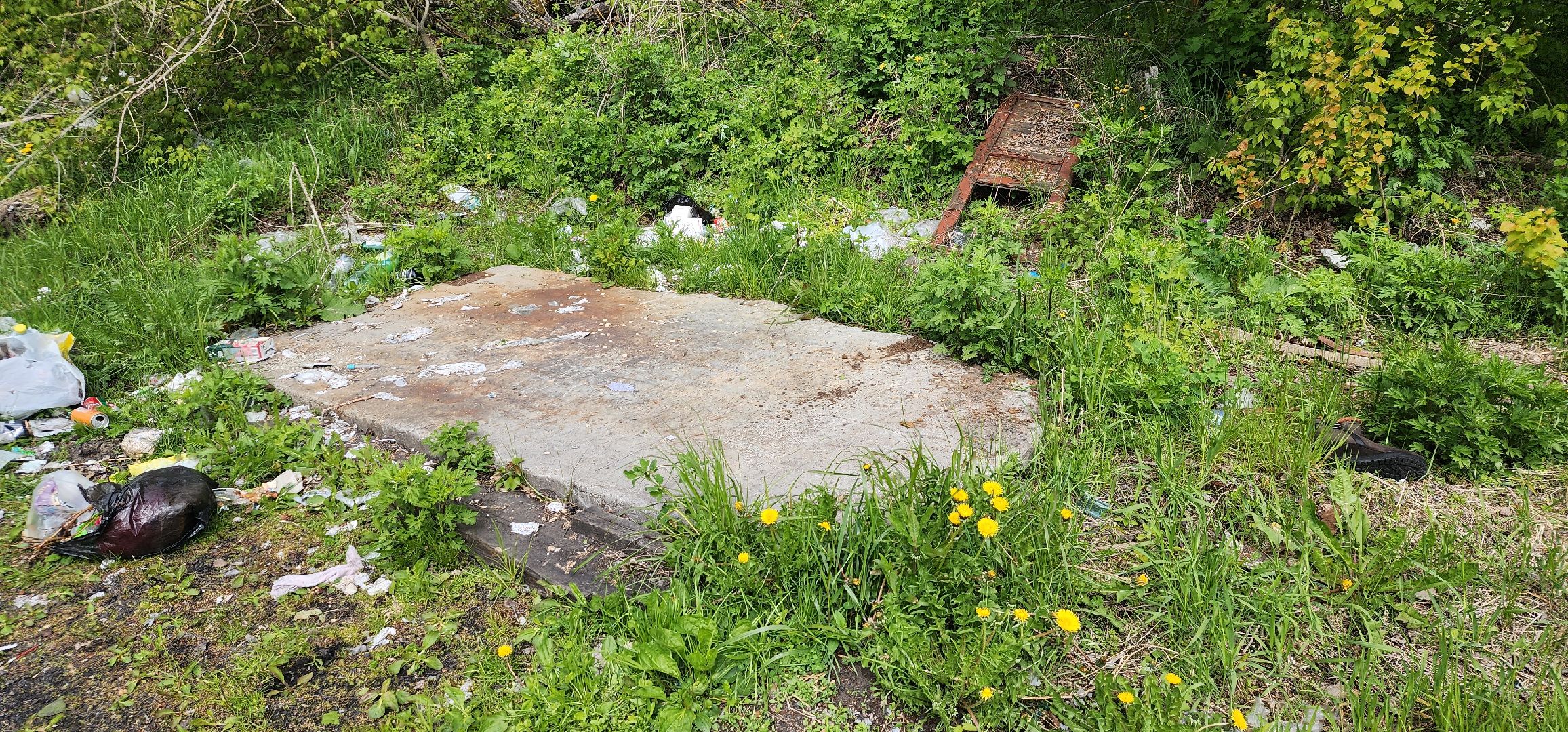 контейнерная площадка, благоустройство, Пустоши, Большая Шатура, черустинский сектор,