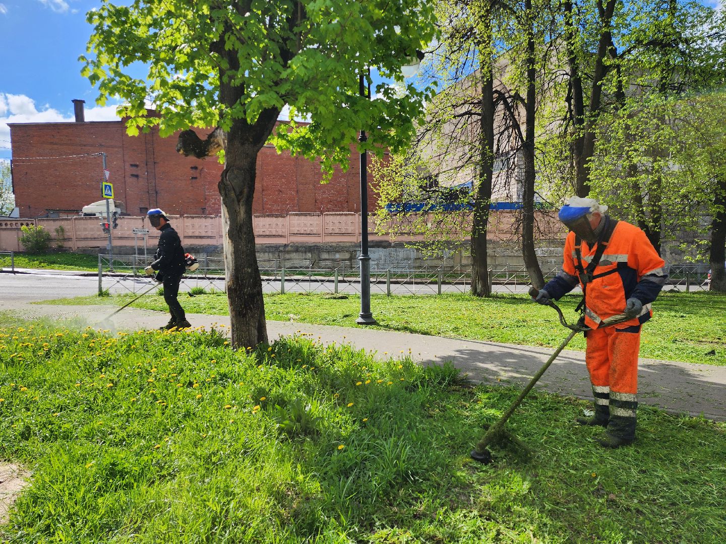 серпухов, подмосковье, благоустройство, покос травы,