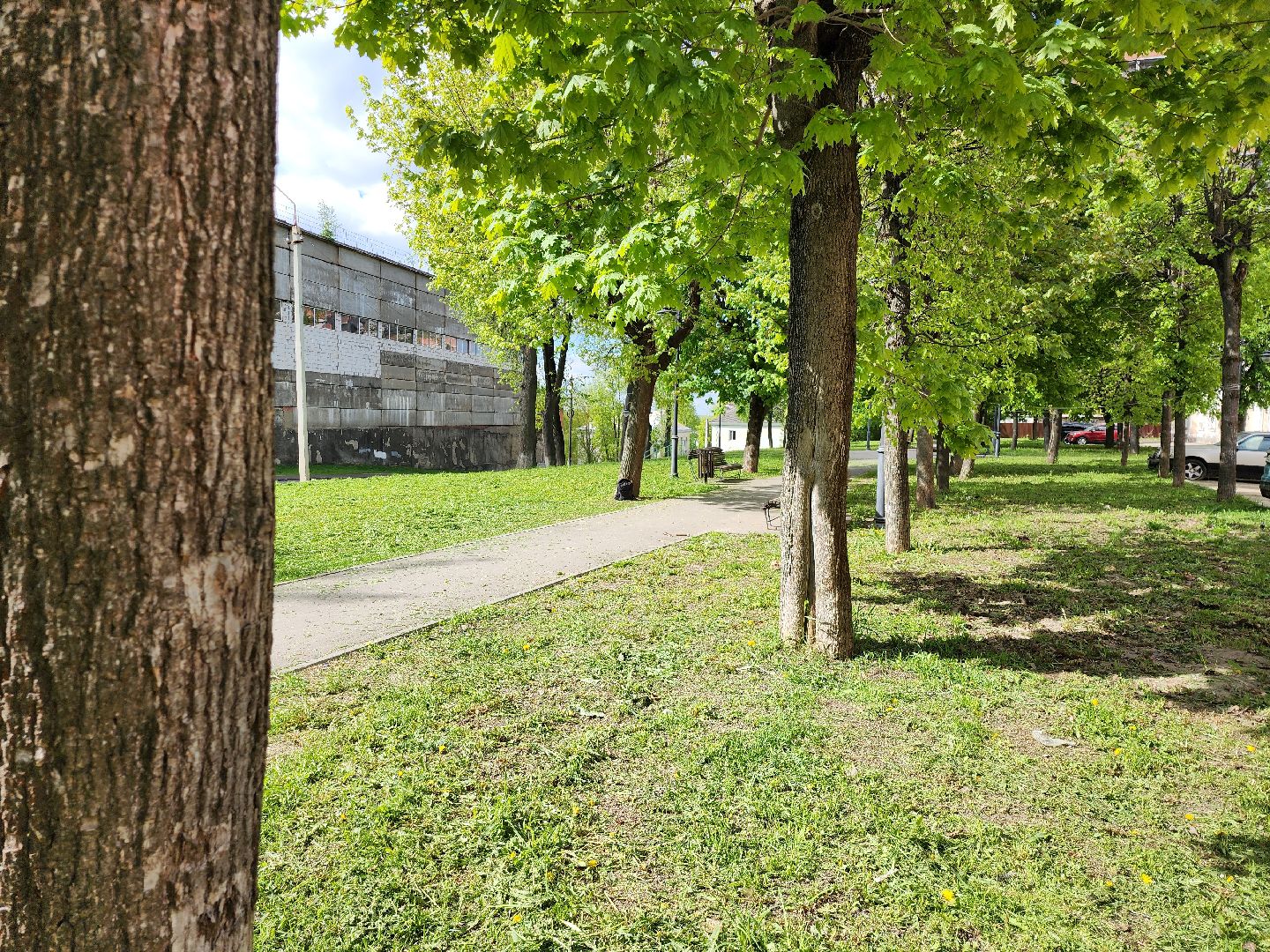 серпухов, подмосковье, благоустройство, покос травы,