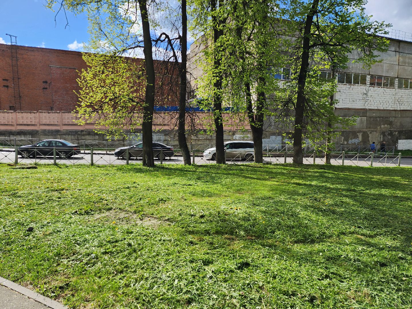 серпухов, подмосковье, благоустройство, покос травы,