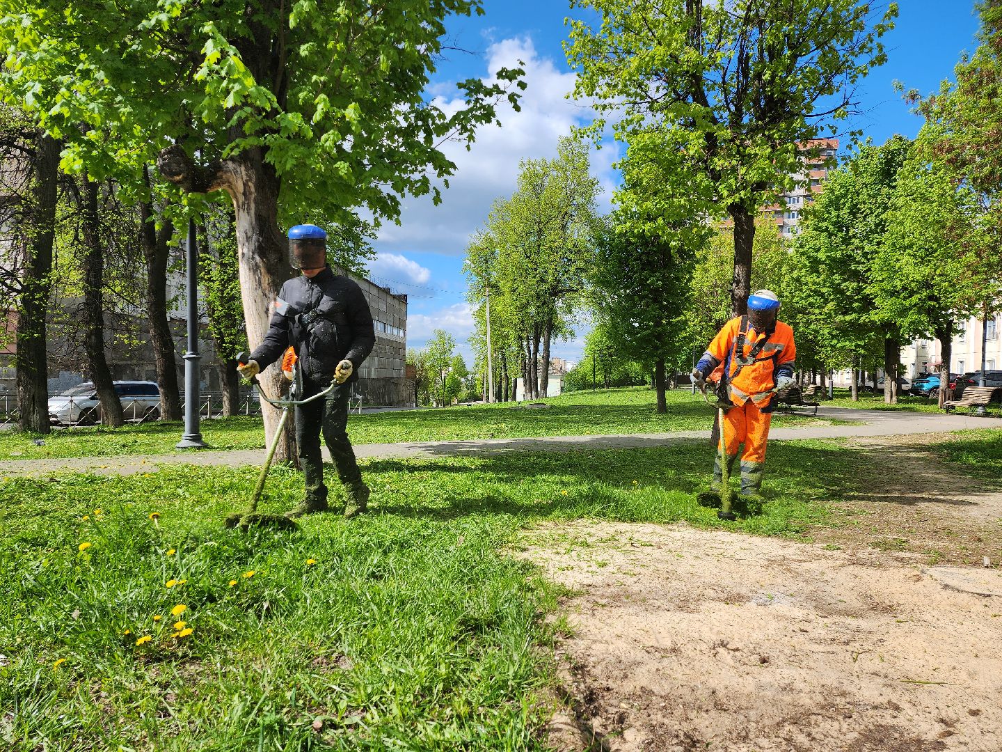 серпухов, подмосковье, благоустройство, покос травы,