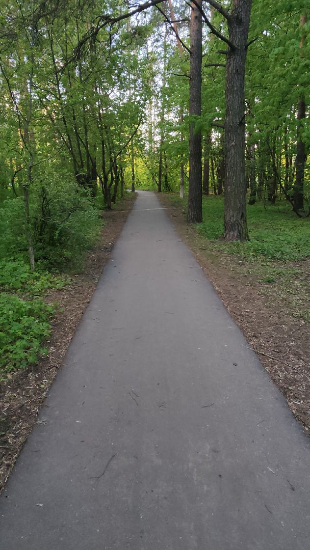 пешеходная дорожка, благоустройство, региональная программа, пешком,