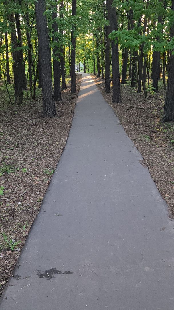 пешеходная дорожка, благоустройство, региональная программа, пешком,