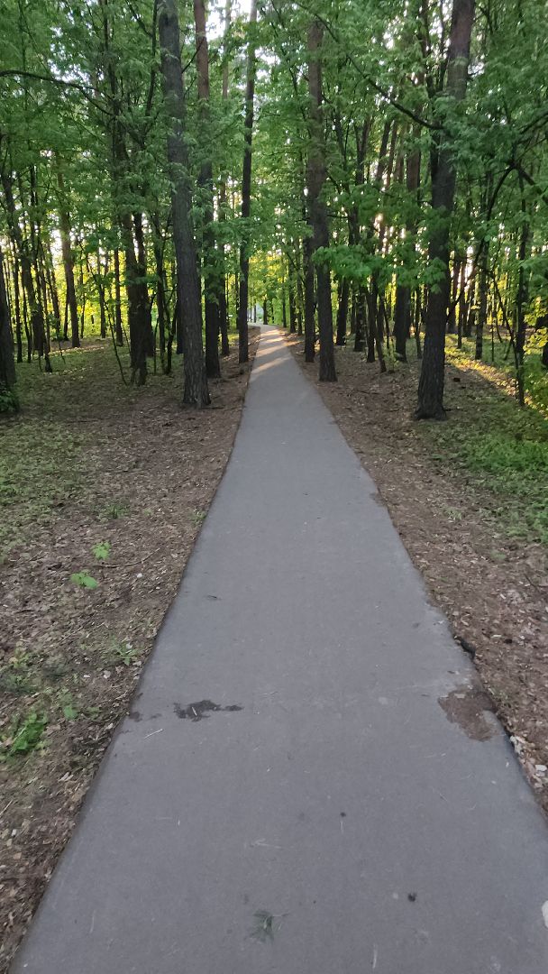 пешеходная дорожка, благоустройство, региональная программа, пешком,