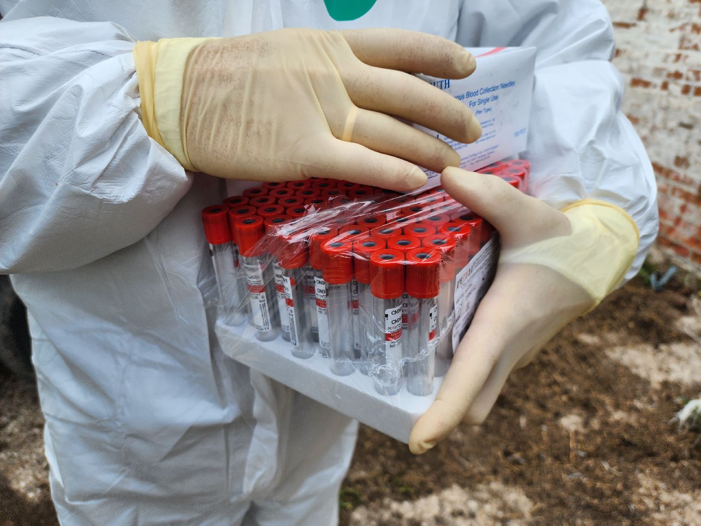 сельское хозяйство, коровы, ферма, орешки, ветеринарная станция, руза, рузский городской округ,