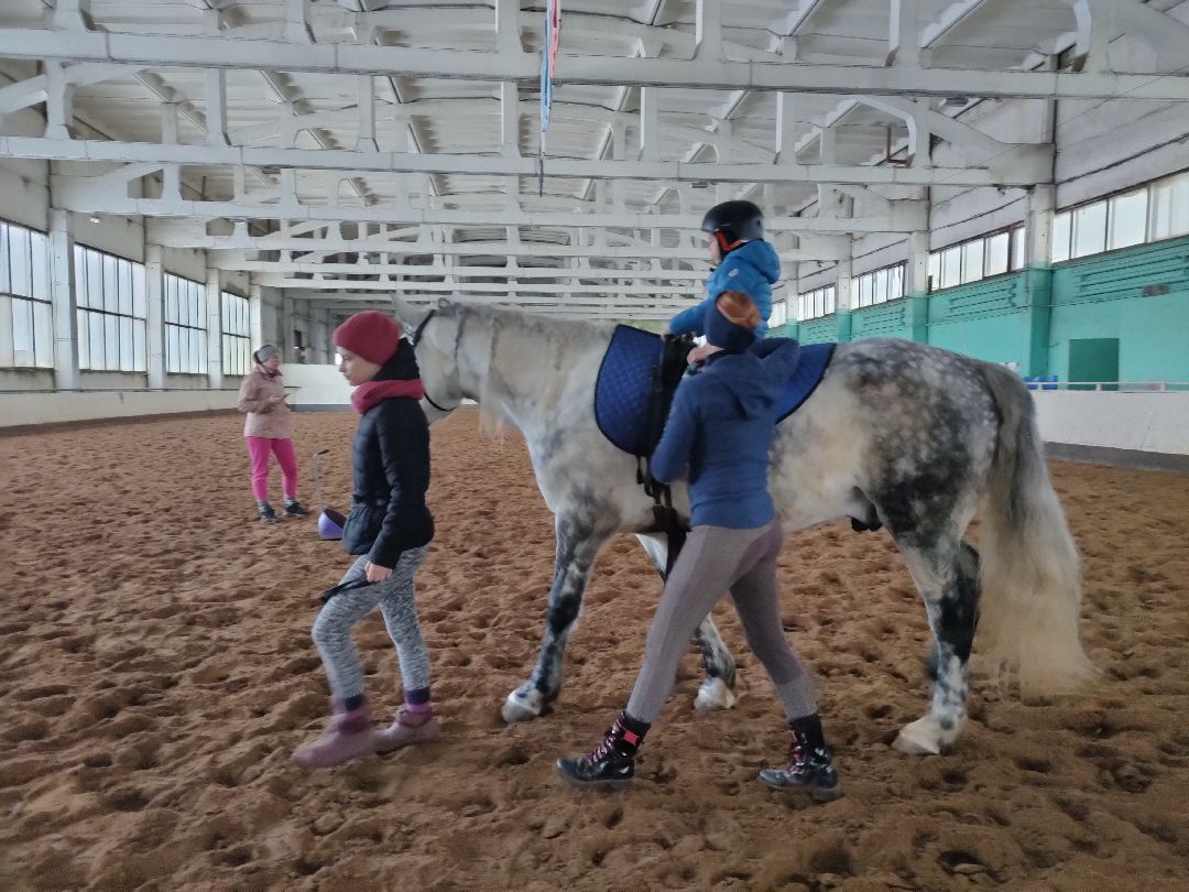 Раменское, общество