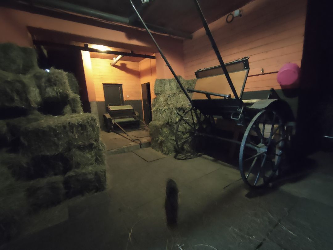 Раменское, общество