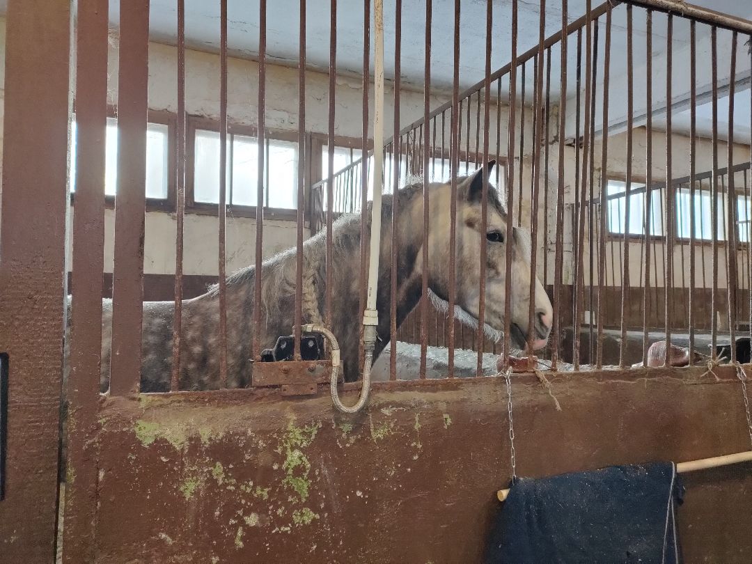 Раменское, общество