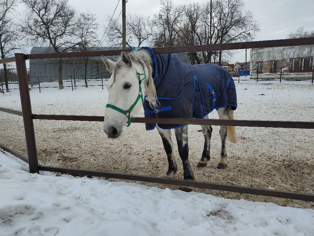 Раменское, общество
