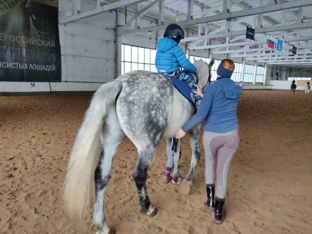 Раменское, общество