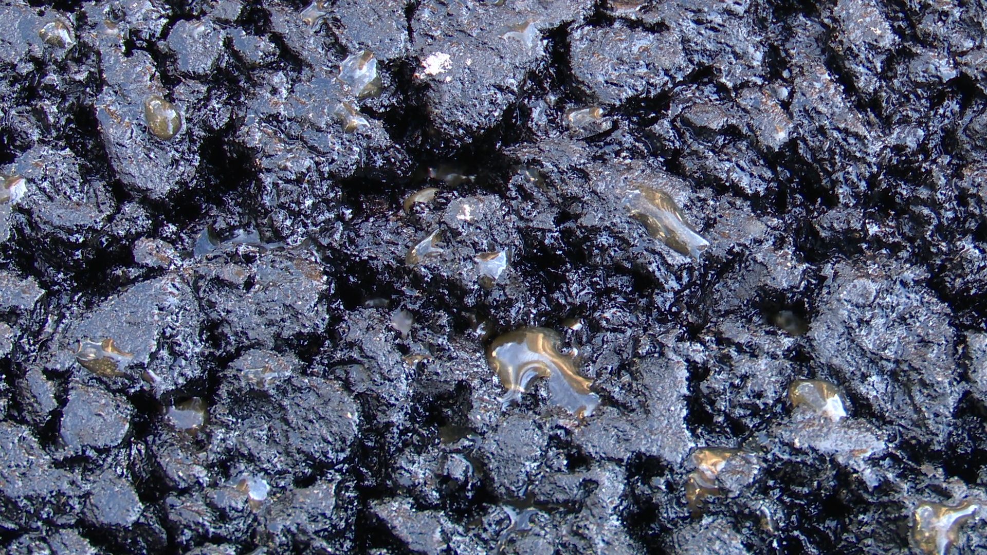 Реутов, дороги, ремонт дорог, асфальт, полотно, технология,