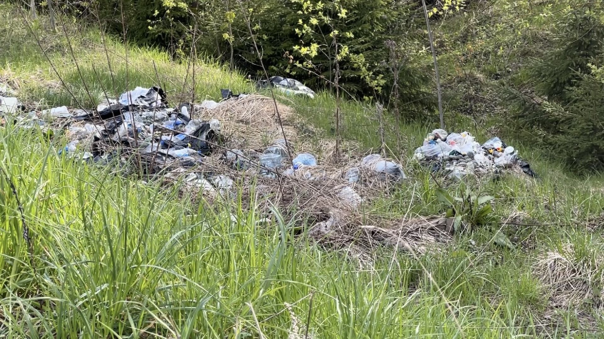 химки, мусор, свалка, незаконная свалка,