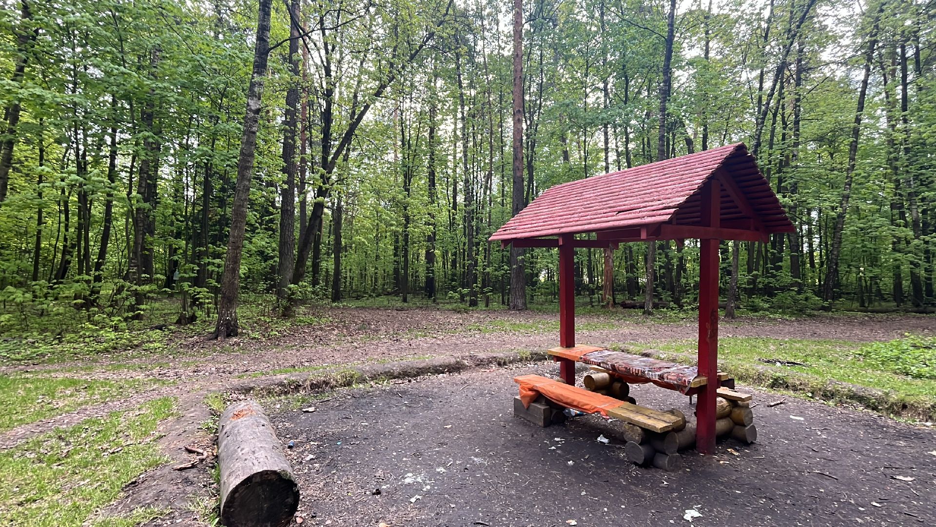 лес, шашлык, шашлыки, шашлык в лесу,