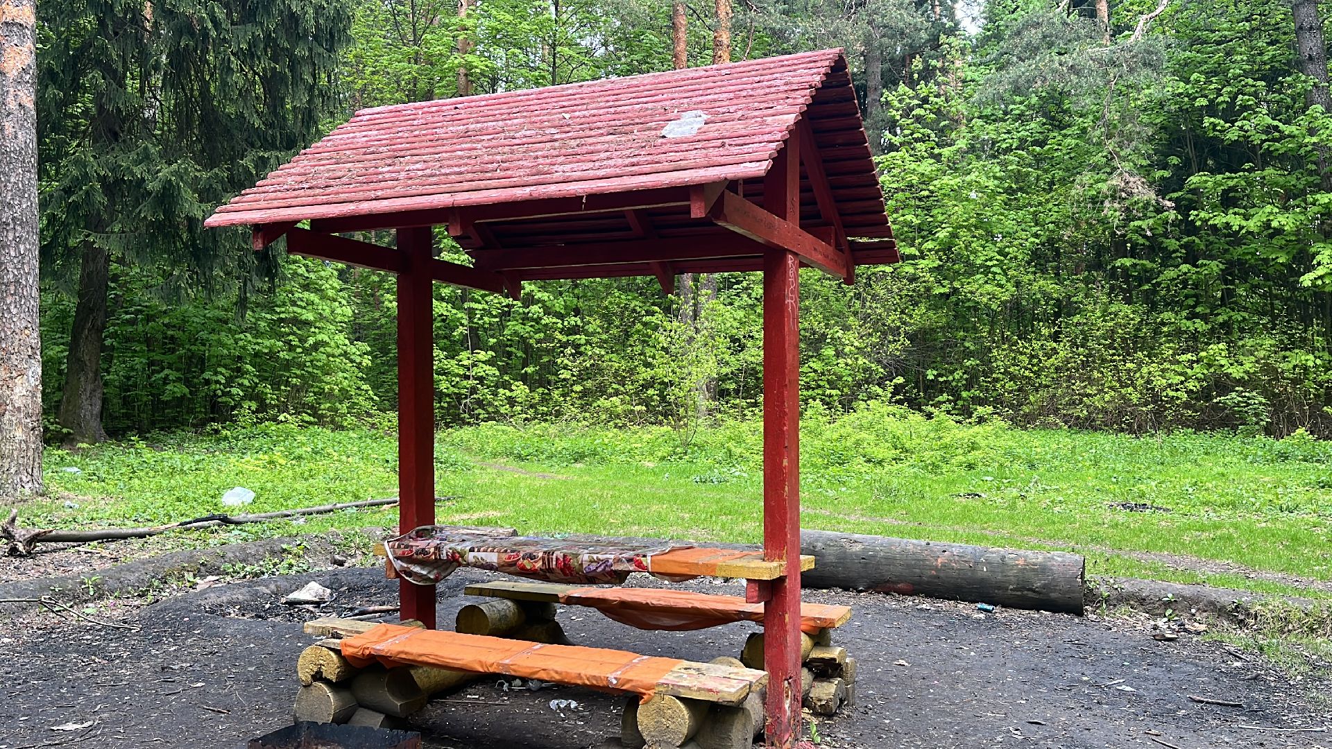 лес, шашлык, шашлыки, шашлык в лесу,