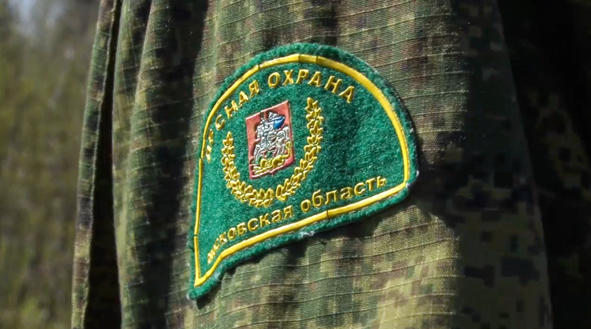 Клин, общество, безопасность, леса, пожары,