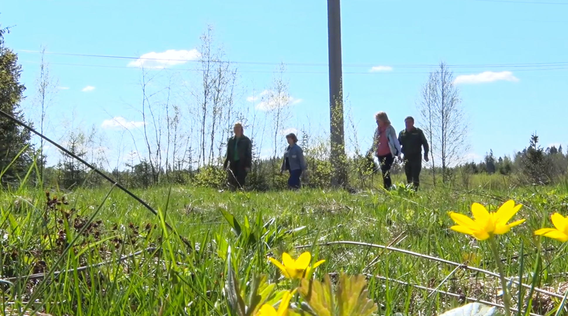 Клин, общество, безопасность, леса, пожары,