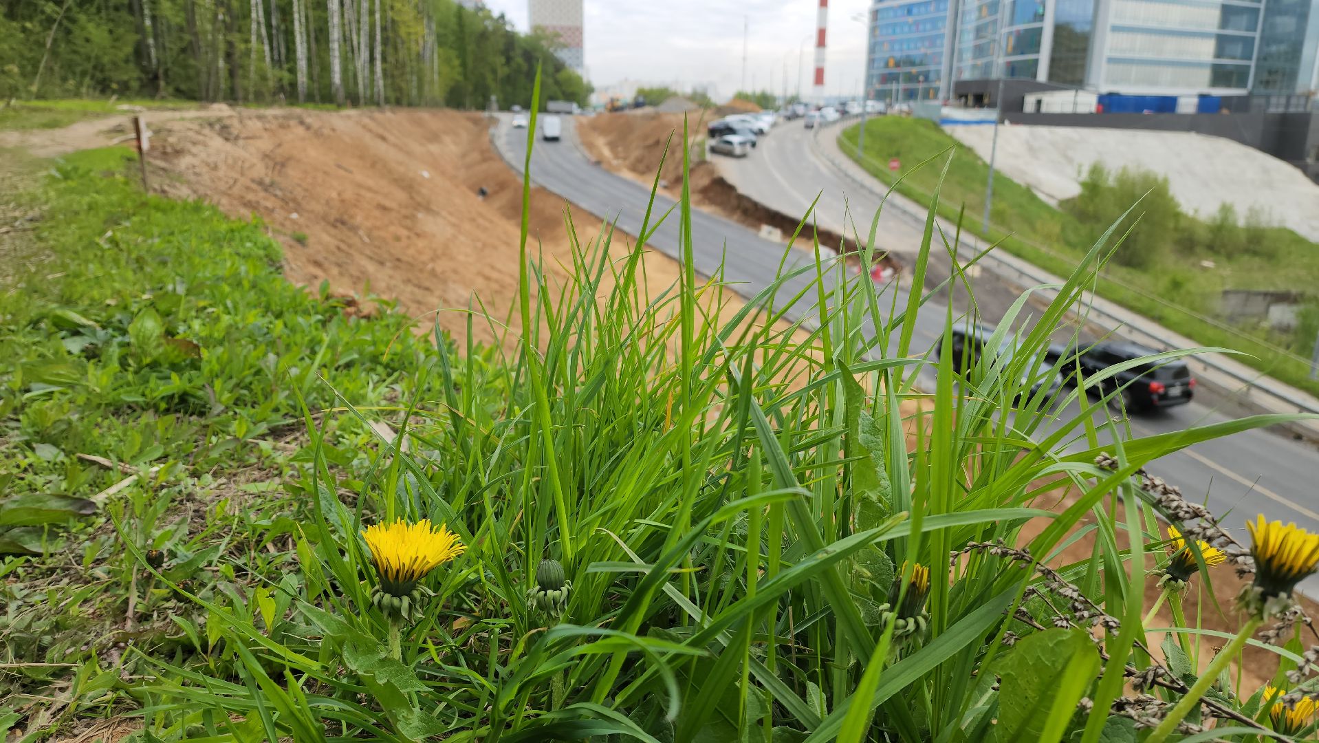 красногорск, дороги, парковка, областная детская больница,