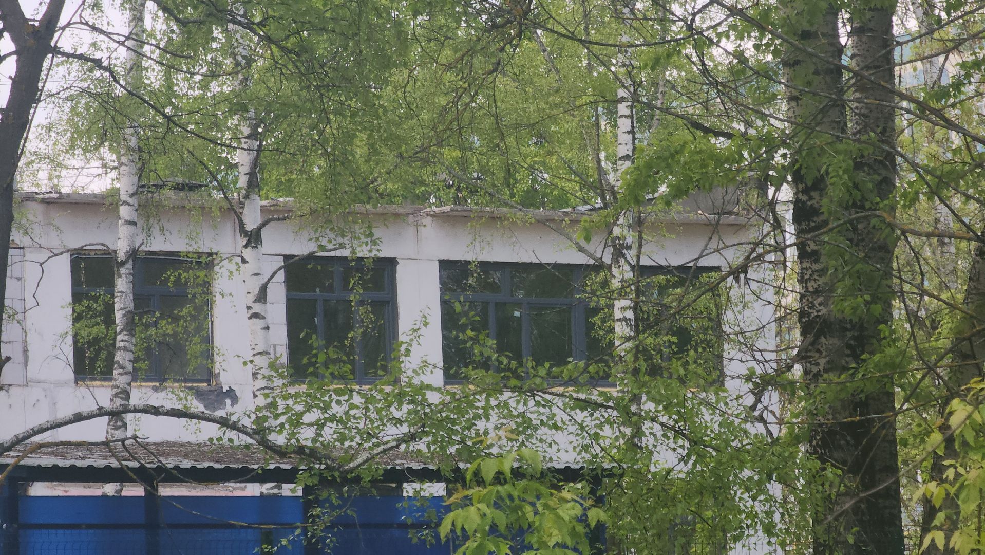 Павловский Посад, городской округ павловский посад, люди, жители, ремонт, строительство, дети,